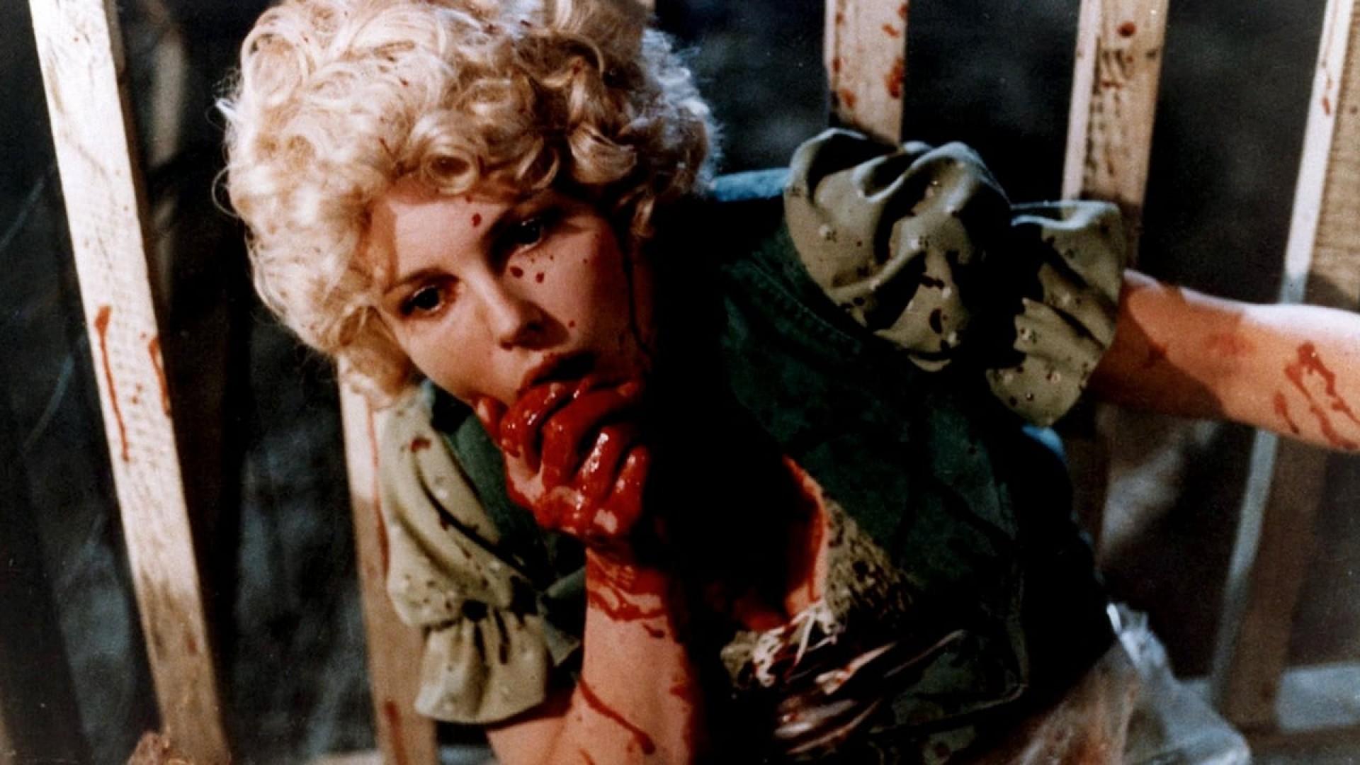 Video Nasties: Moral Panic, Censorship & Videotape