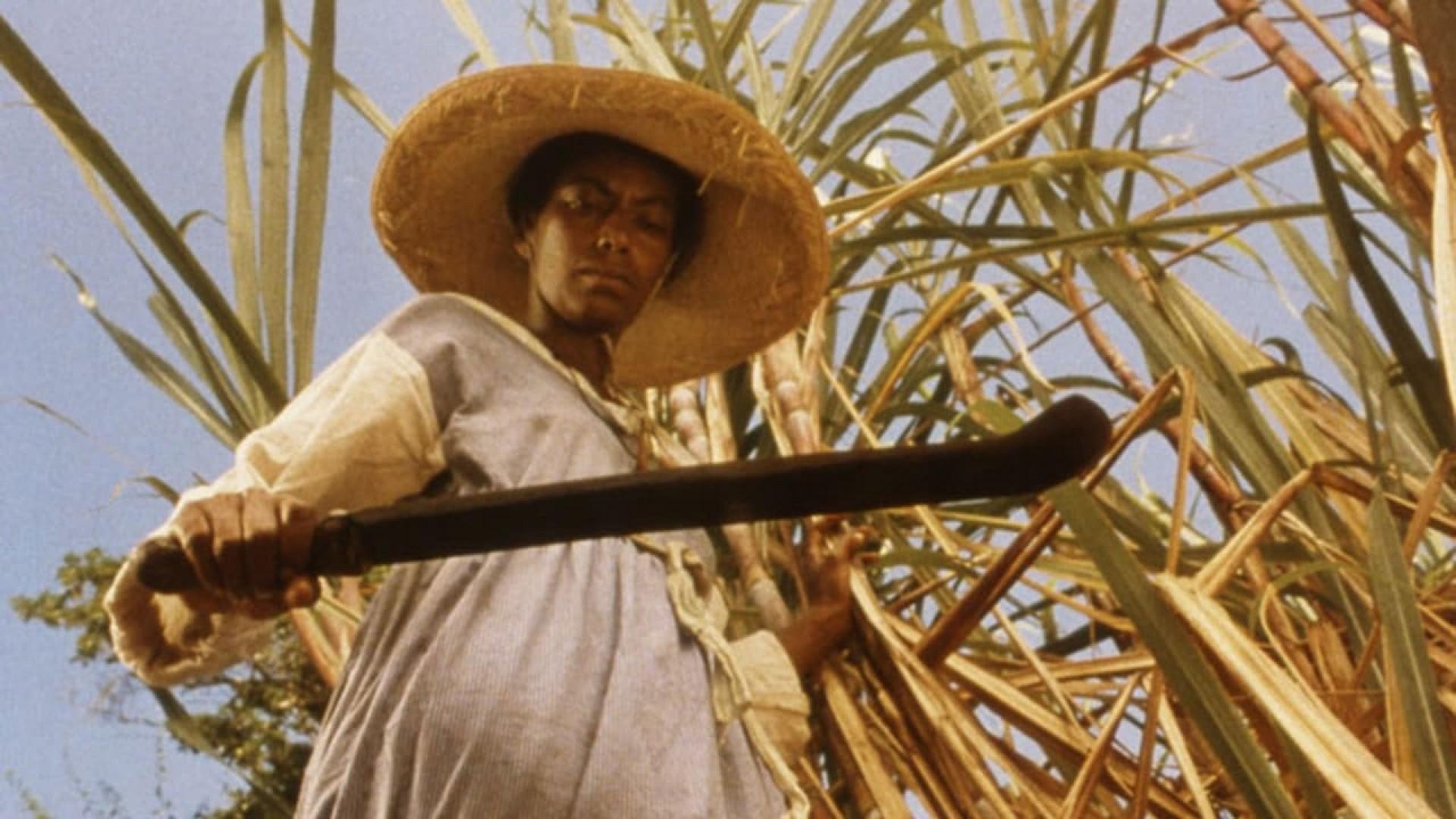 Sankofa