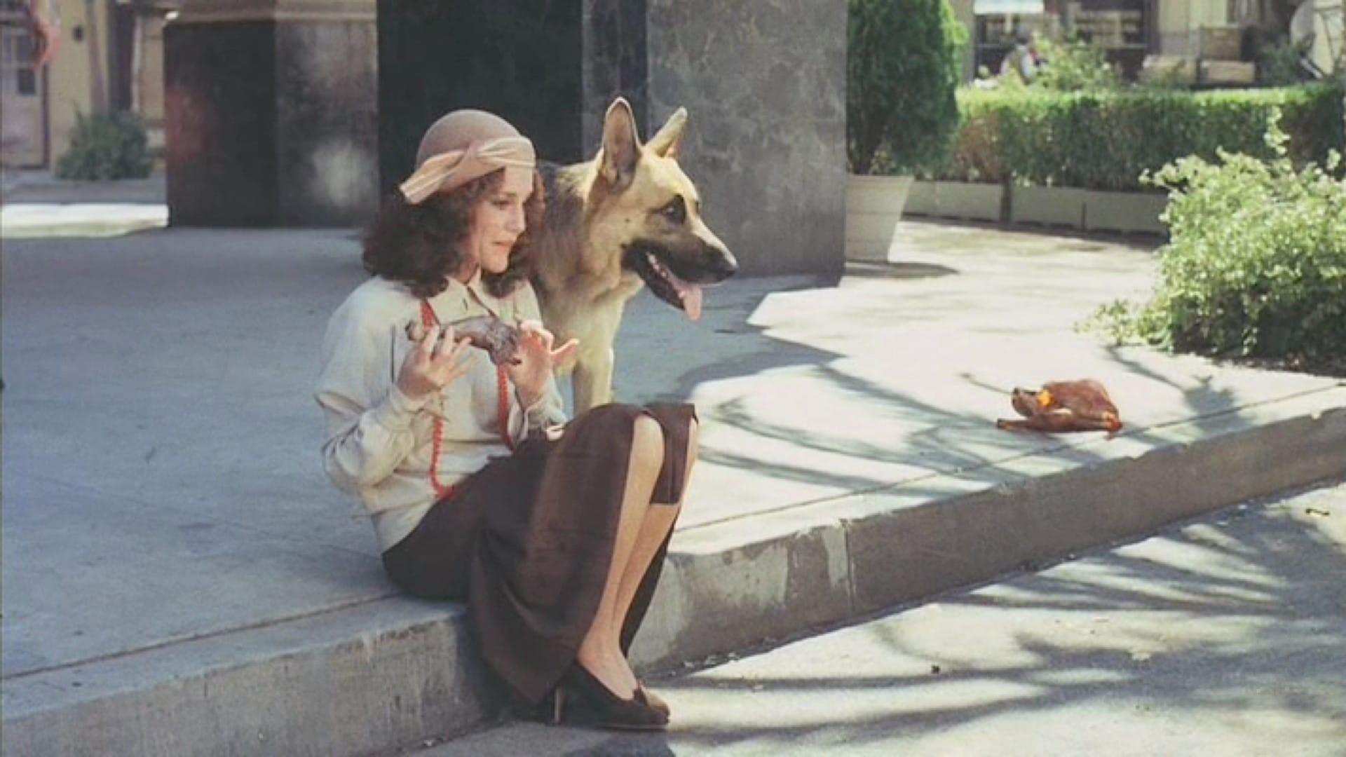 Won Ton Ton: the Dog Who Saved Hollywood