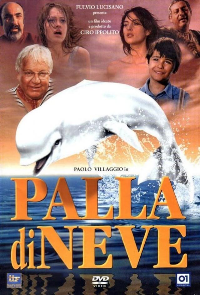 Palla di neve