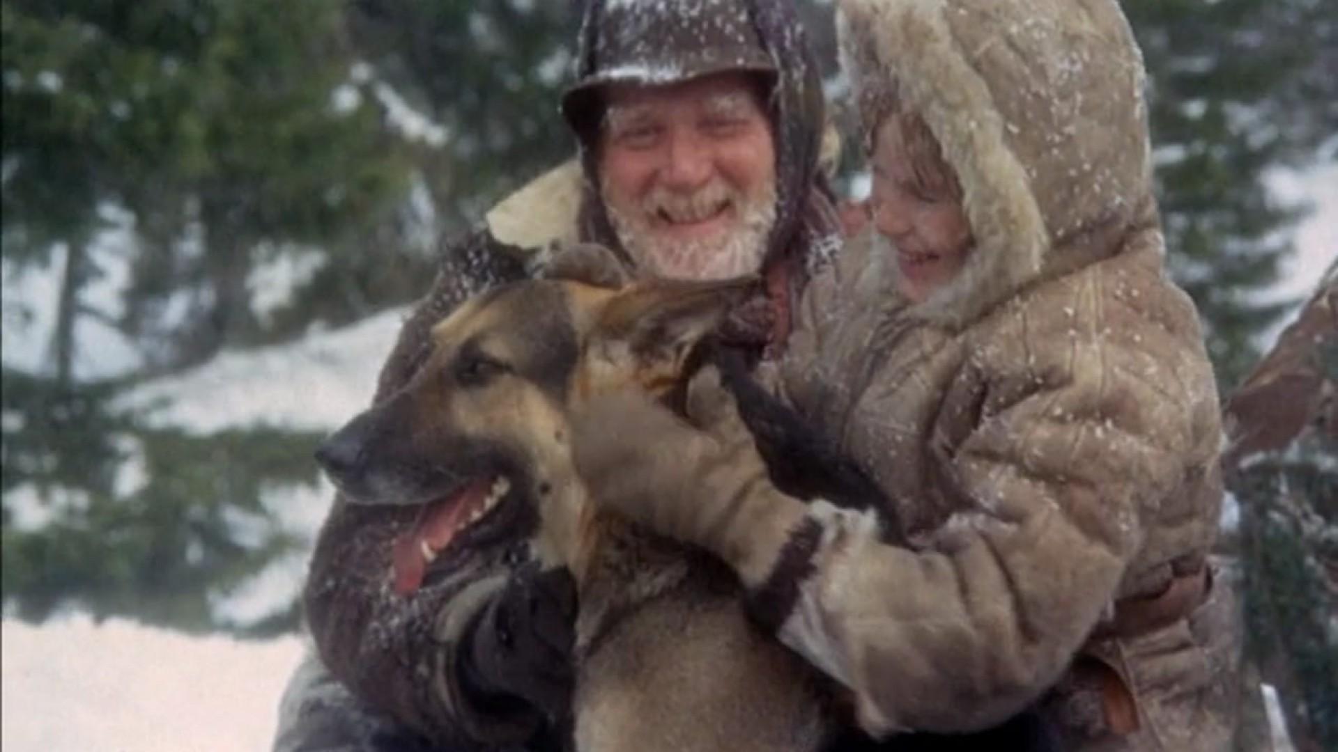 Challenge to White Fang