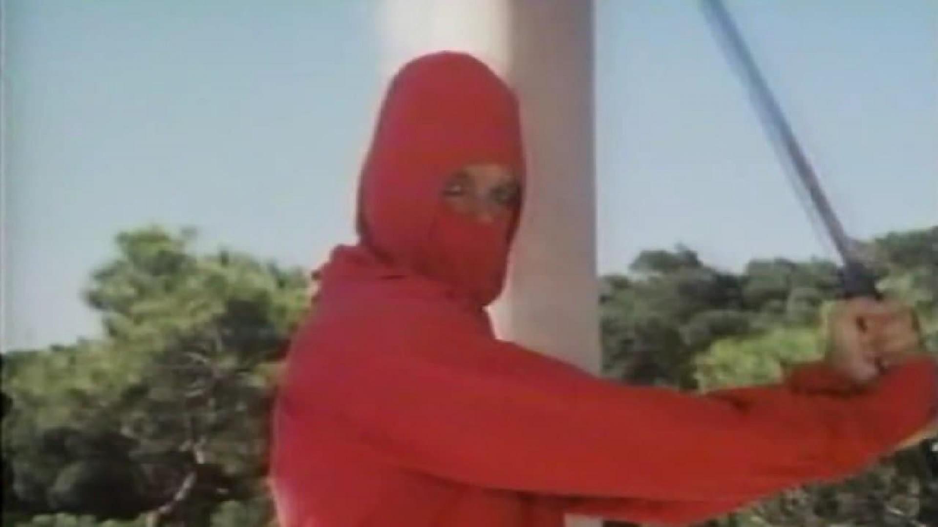 Diamond Ninja Force