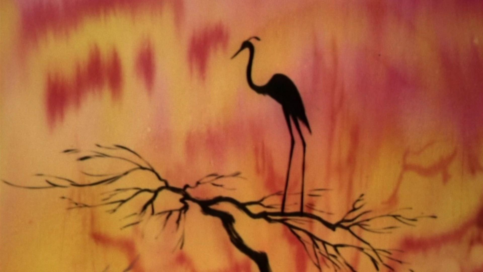 Water Birds