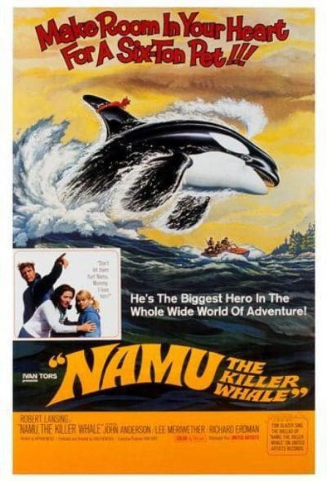 Namu, la ballena salvaje