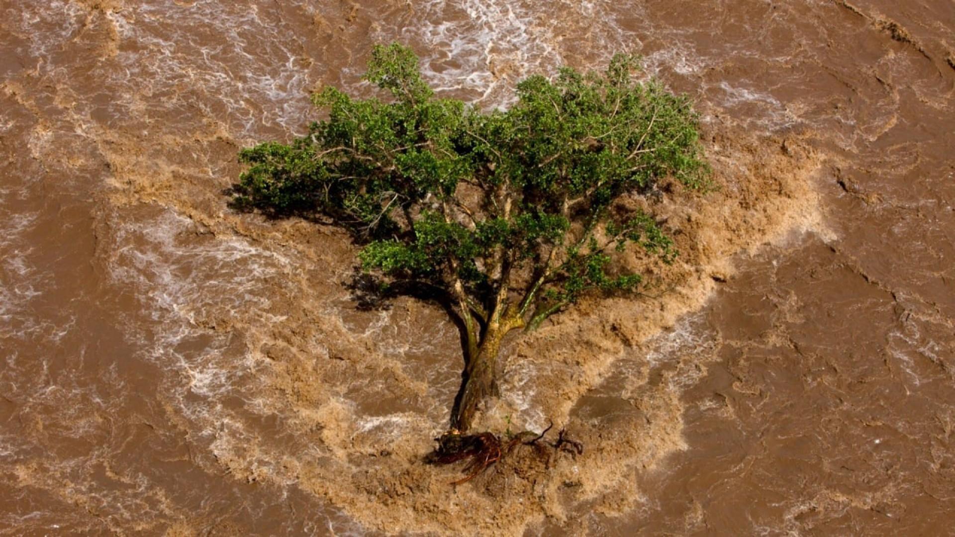 A Thirsty World