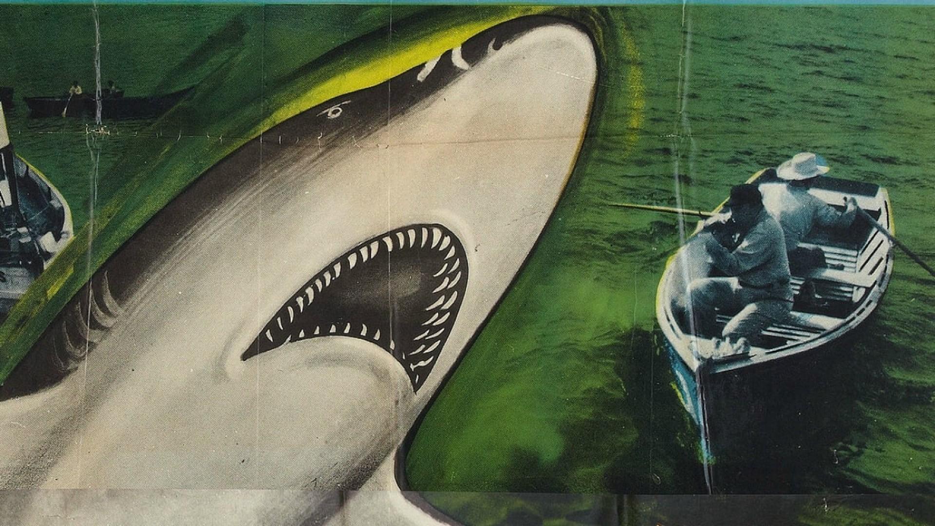 Killer Shark