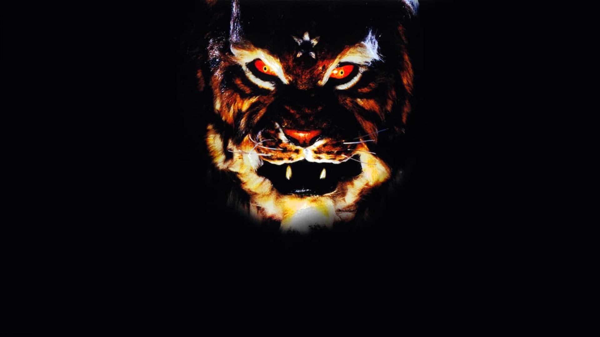 Lone Tiger