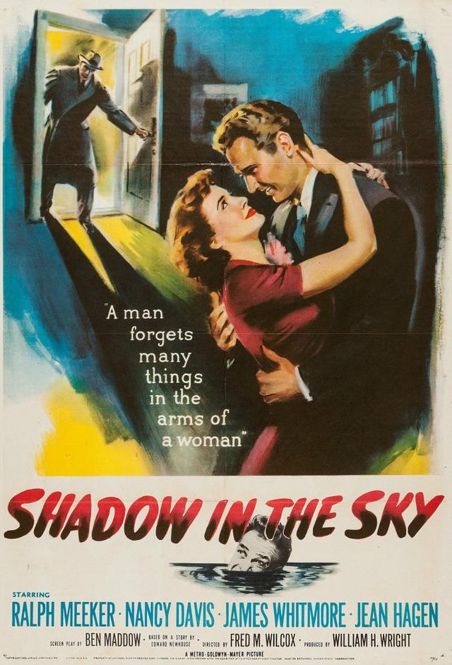 Shadow in the Sky