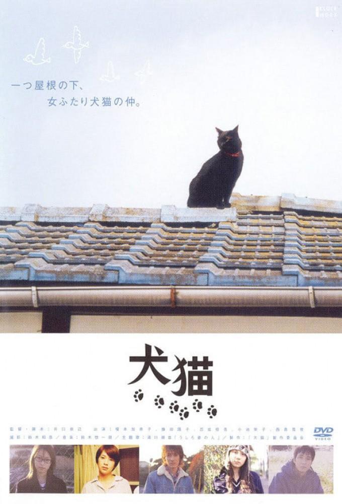 Dogs & Cats