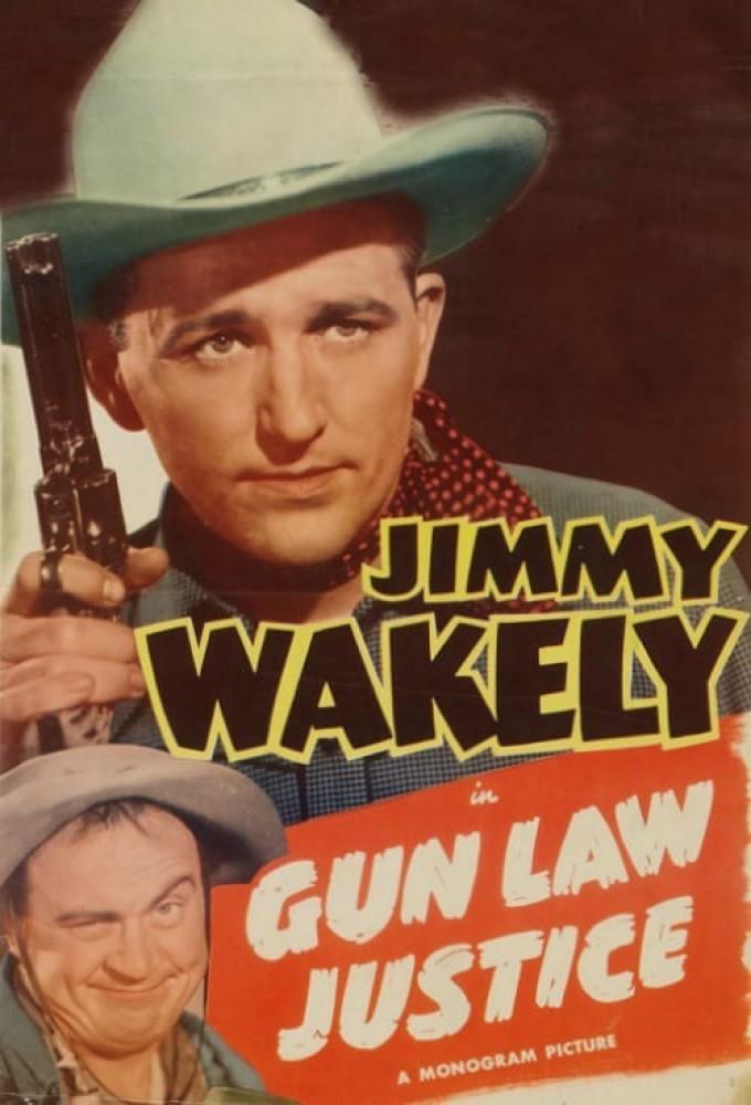Gun Law Justice