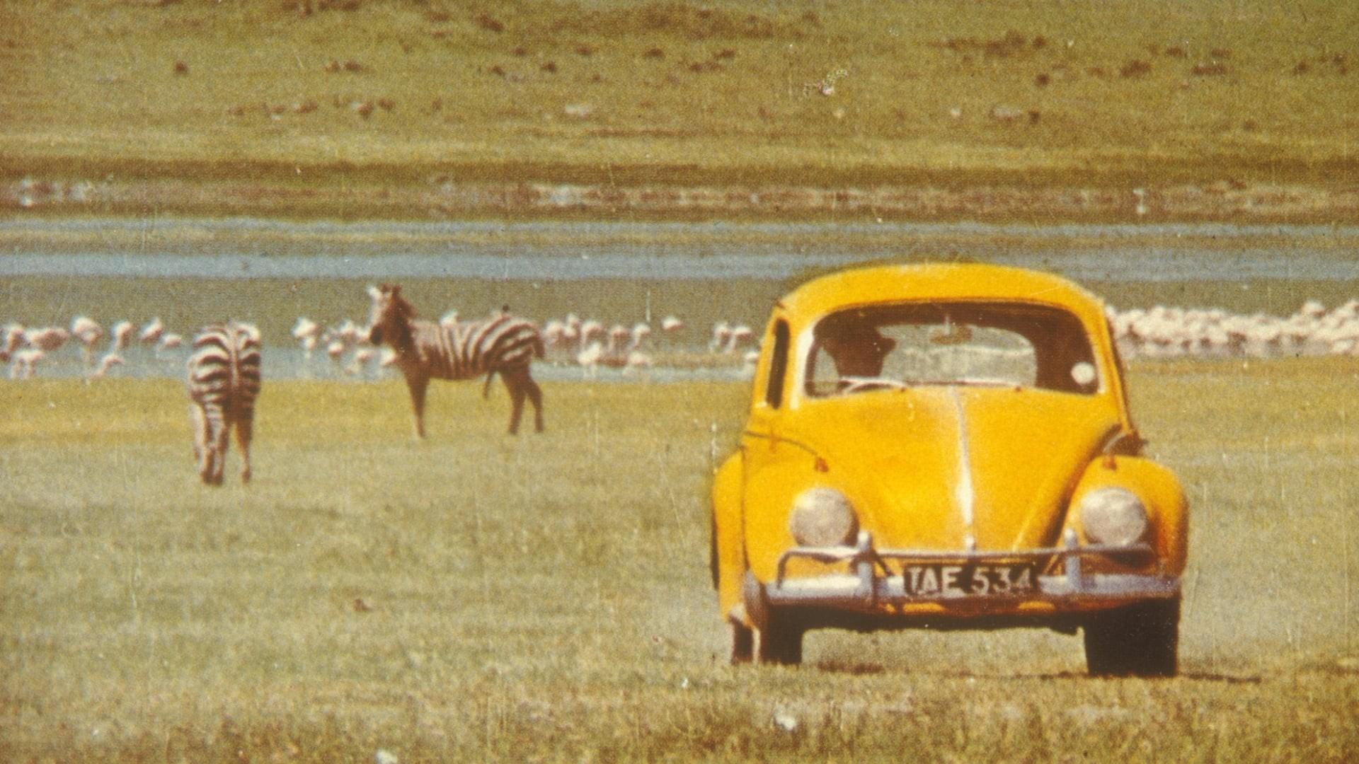 The Superbug Rally