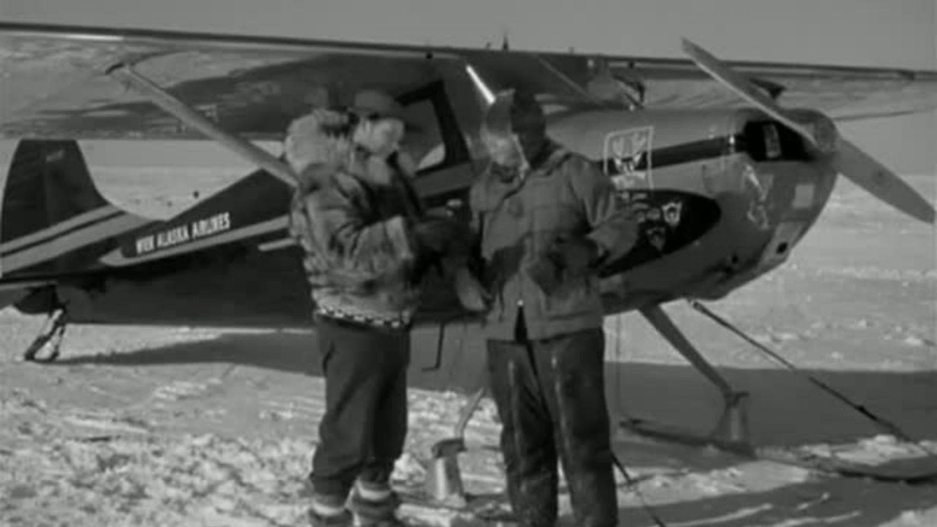 Arctic Flight