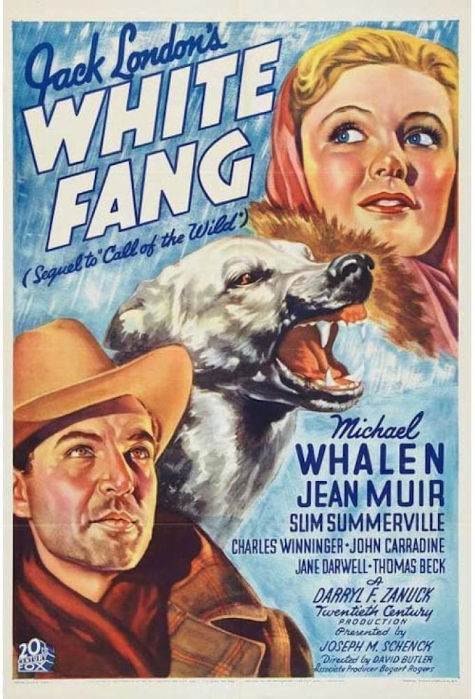 White Fang