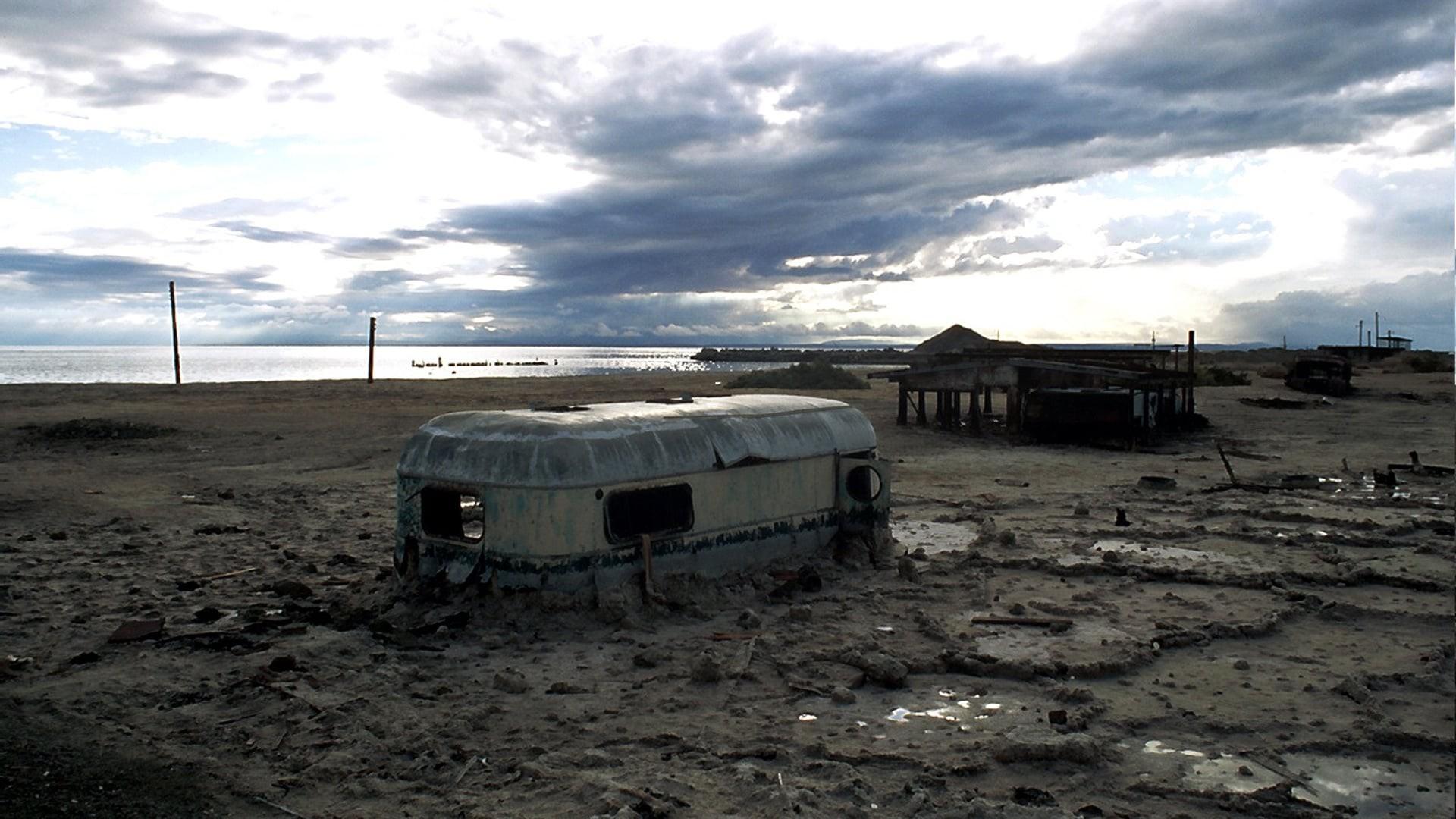 Plagues & Pleasures On the Salton Sea