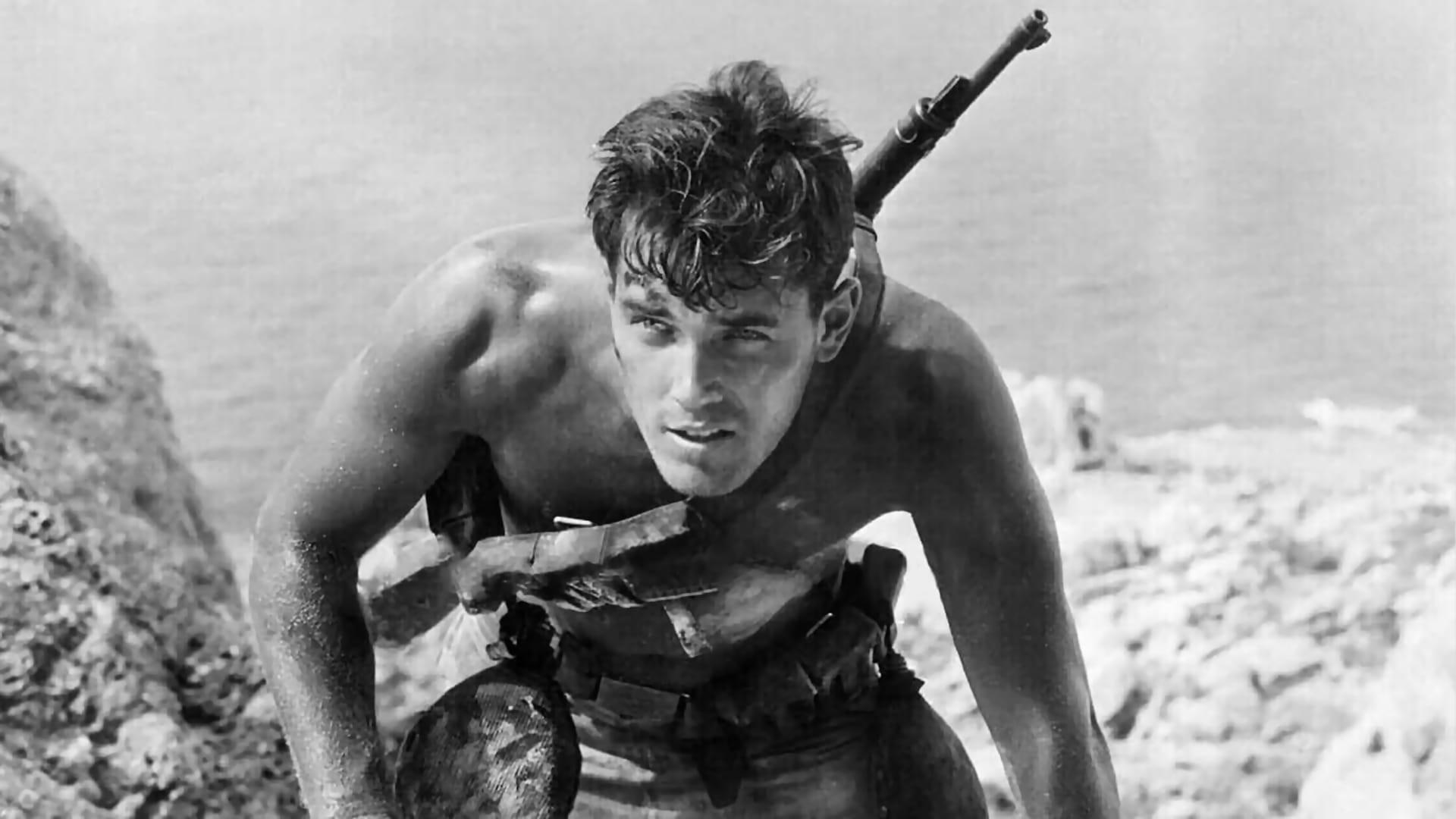 Sailor of the King