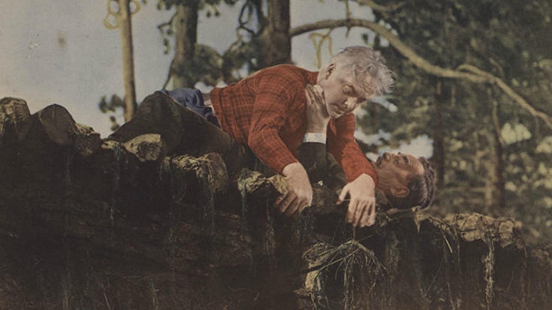 Lumberjack