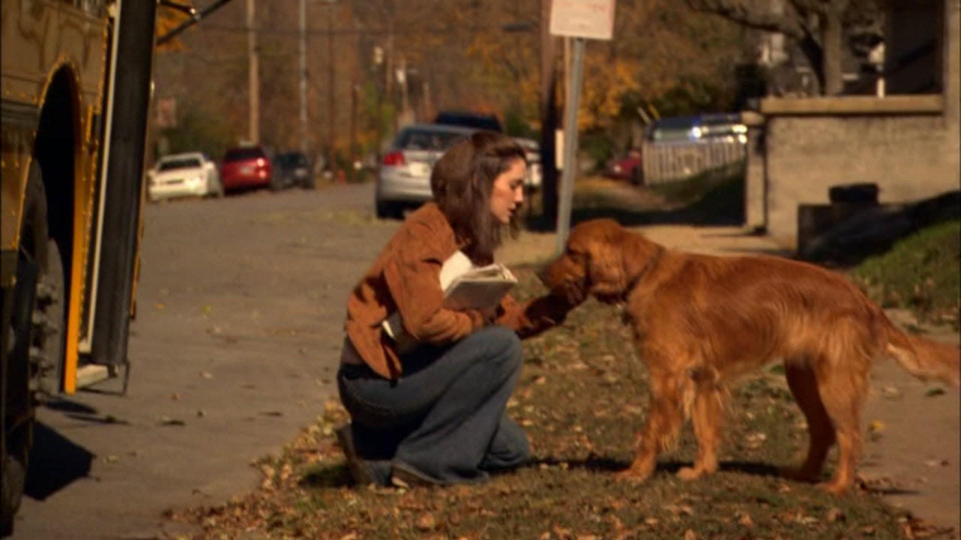 For the Love of a Dog