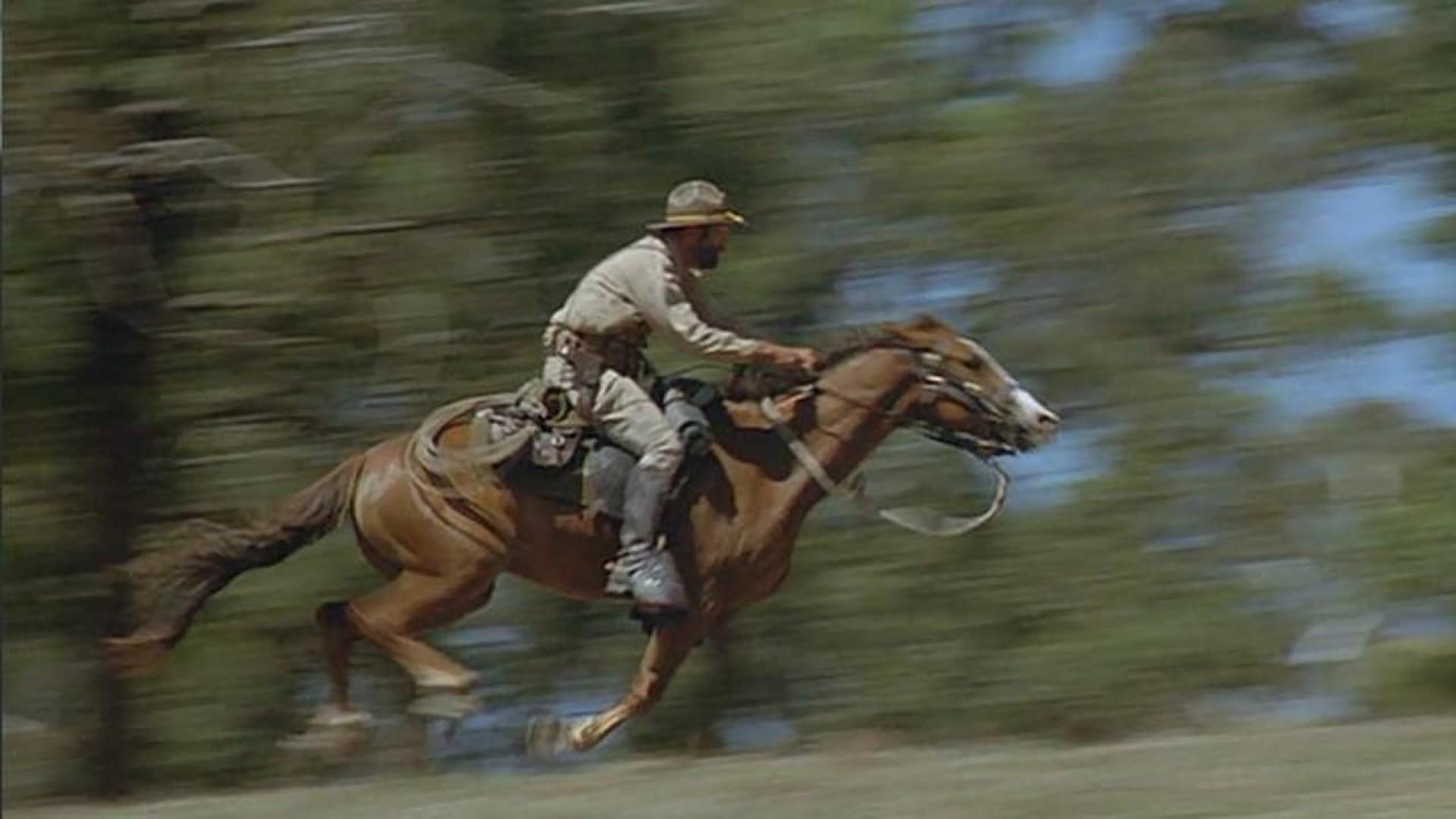 In Pursuit of Honor