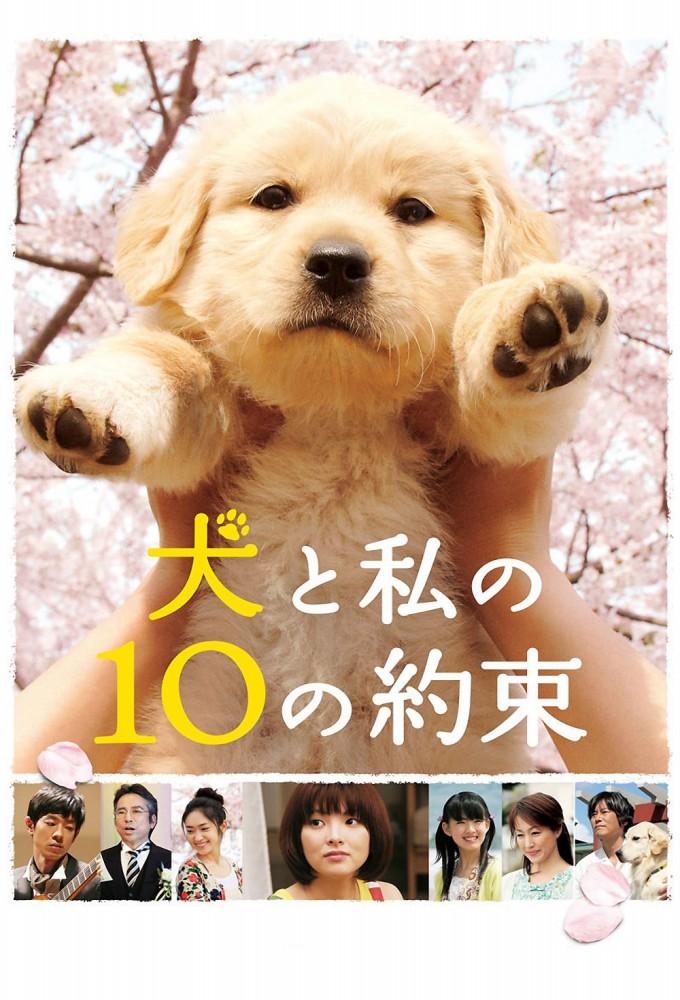 10 Promises to My Dog