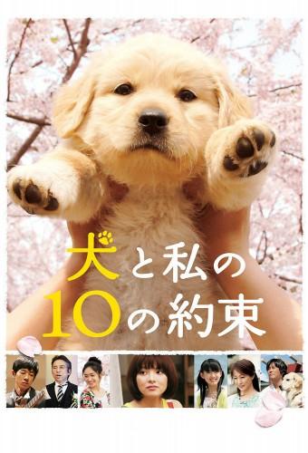 10 Promises to My Dog