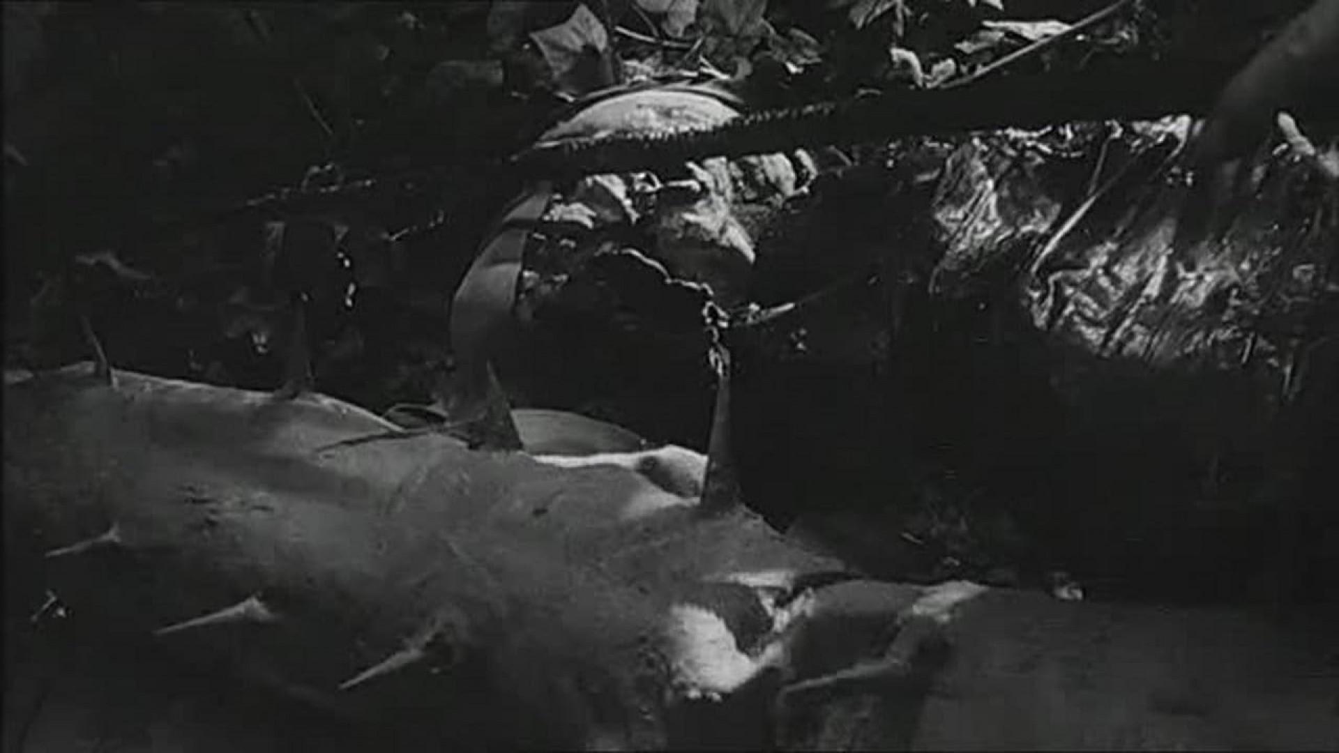 The Strange World of Planet X