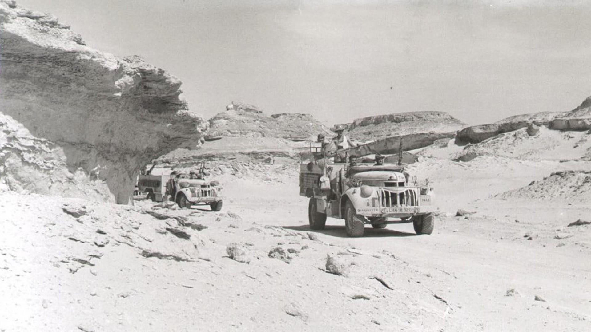 The Desert Rats