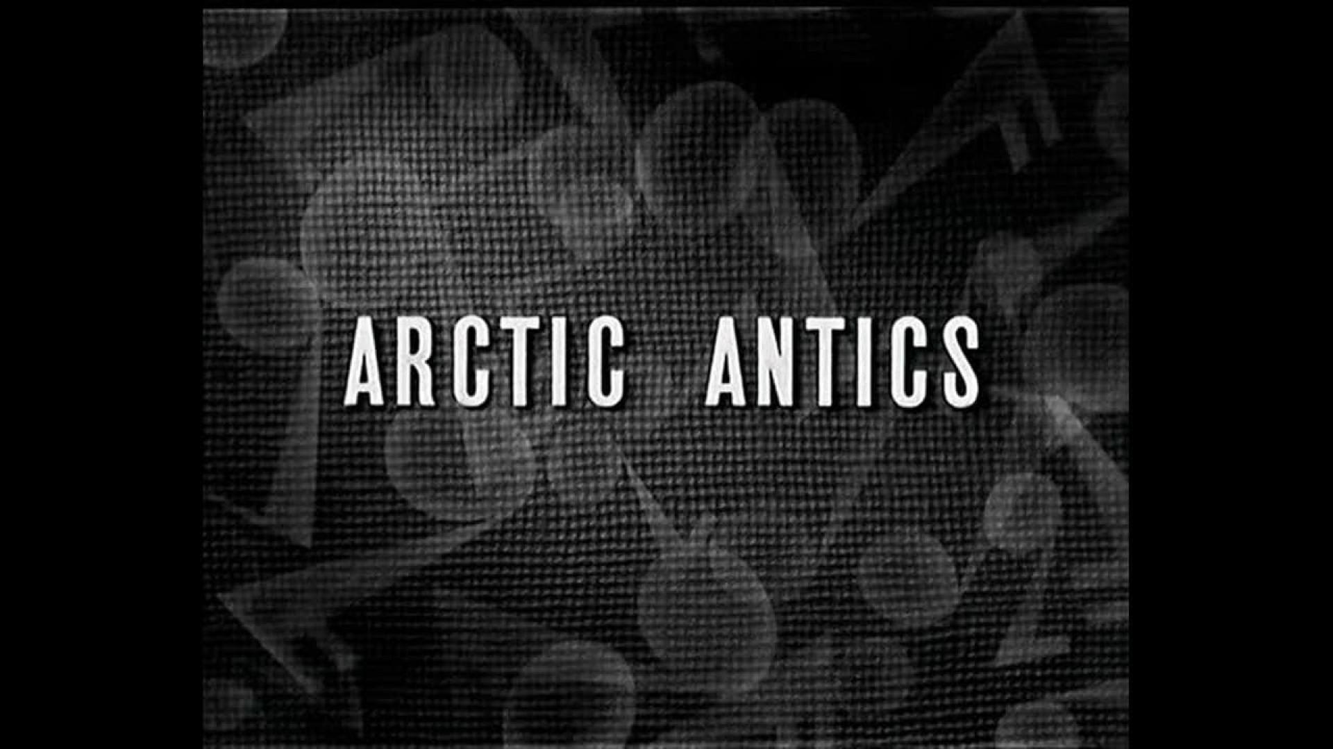 Arctic Antics