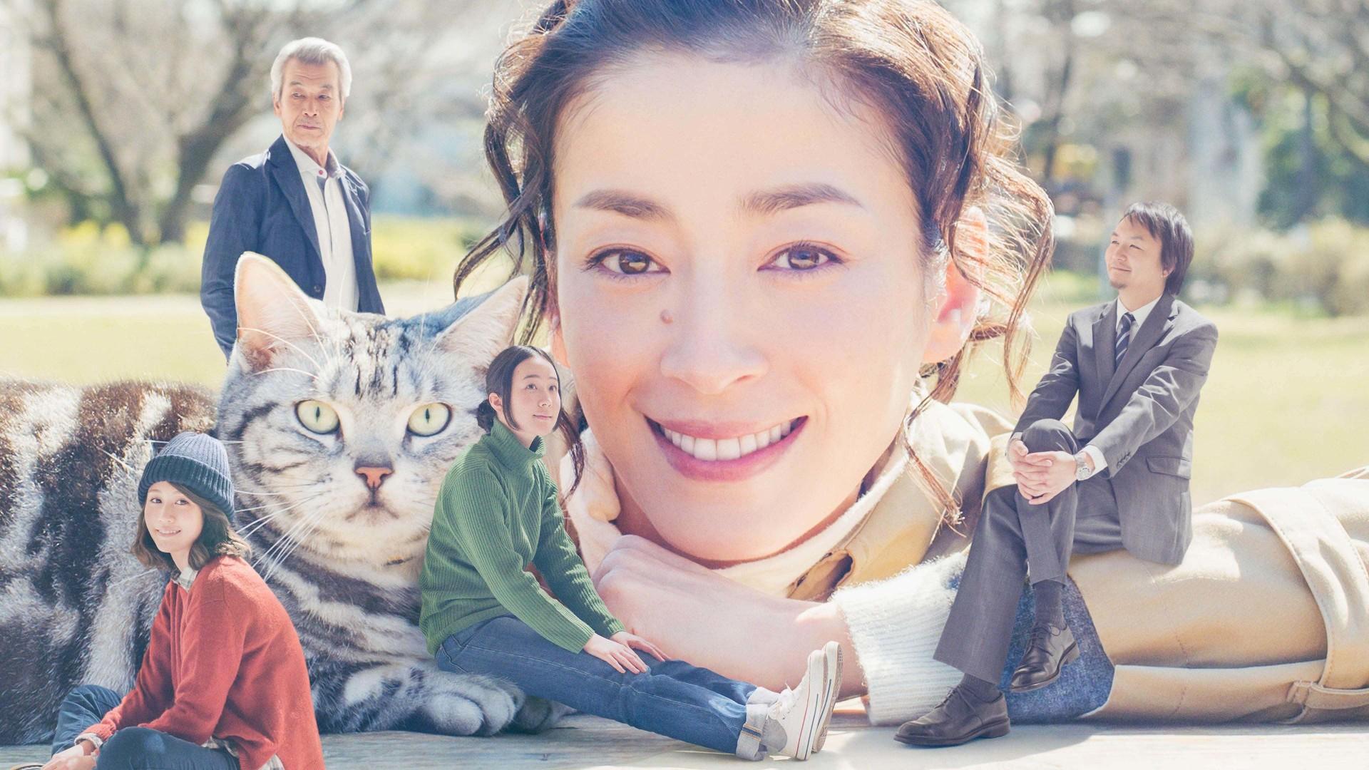 Gou-Gou, the Cat