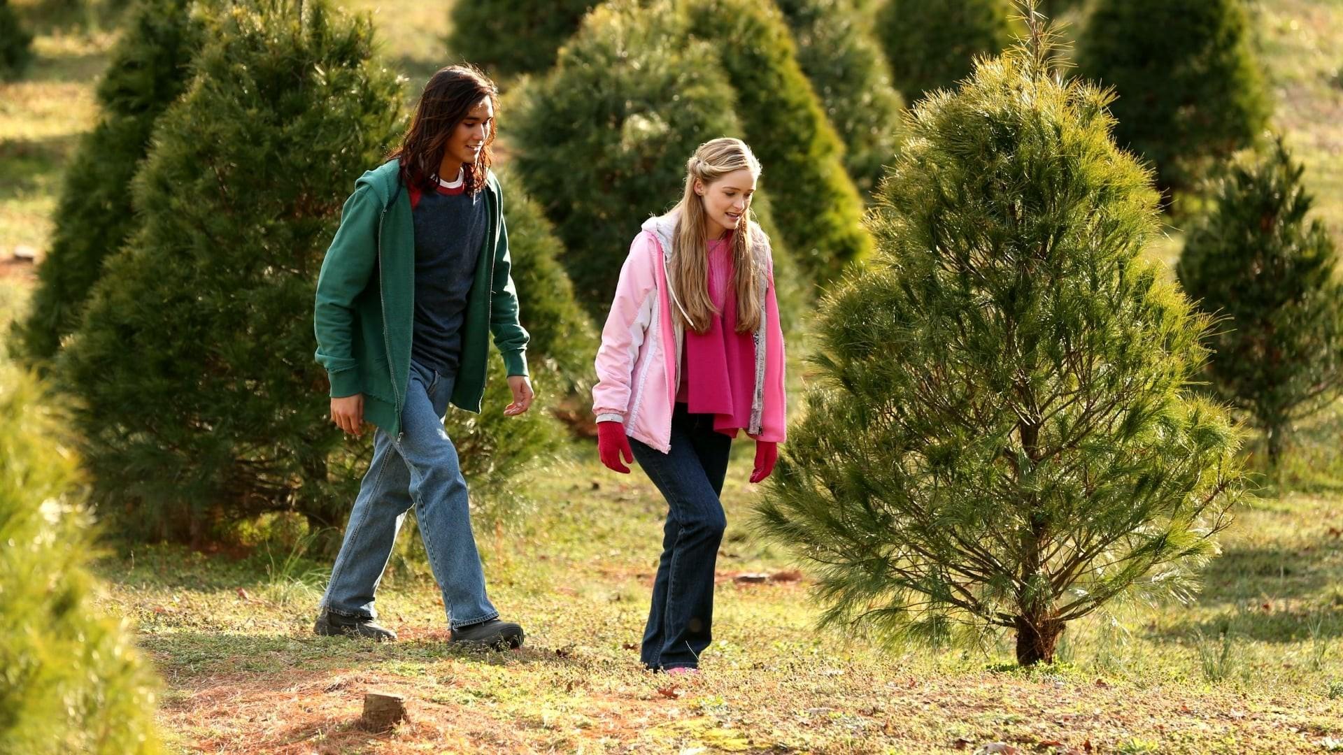 An Evergreen Christmas