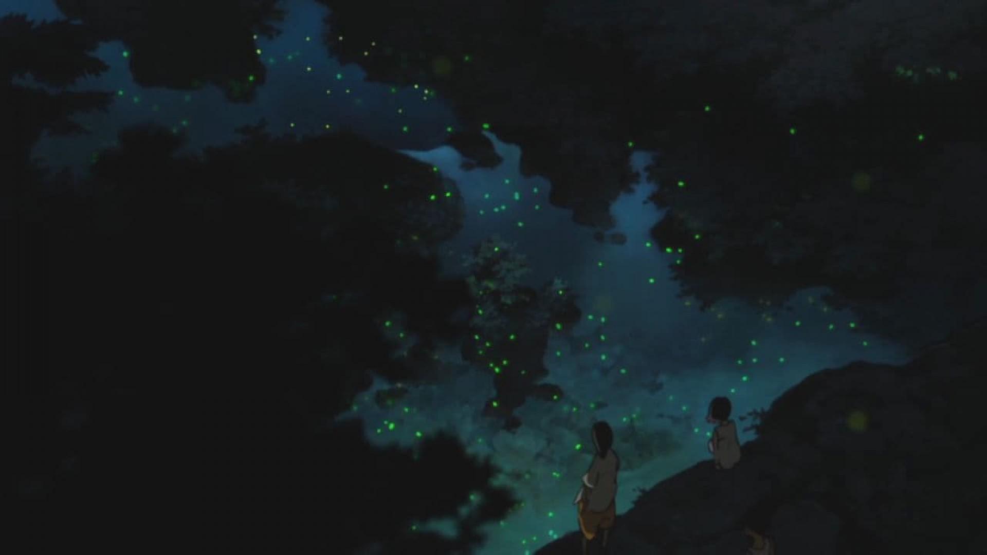 Rainbow Fireflies
