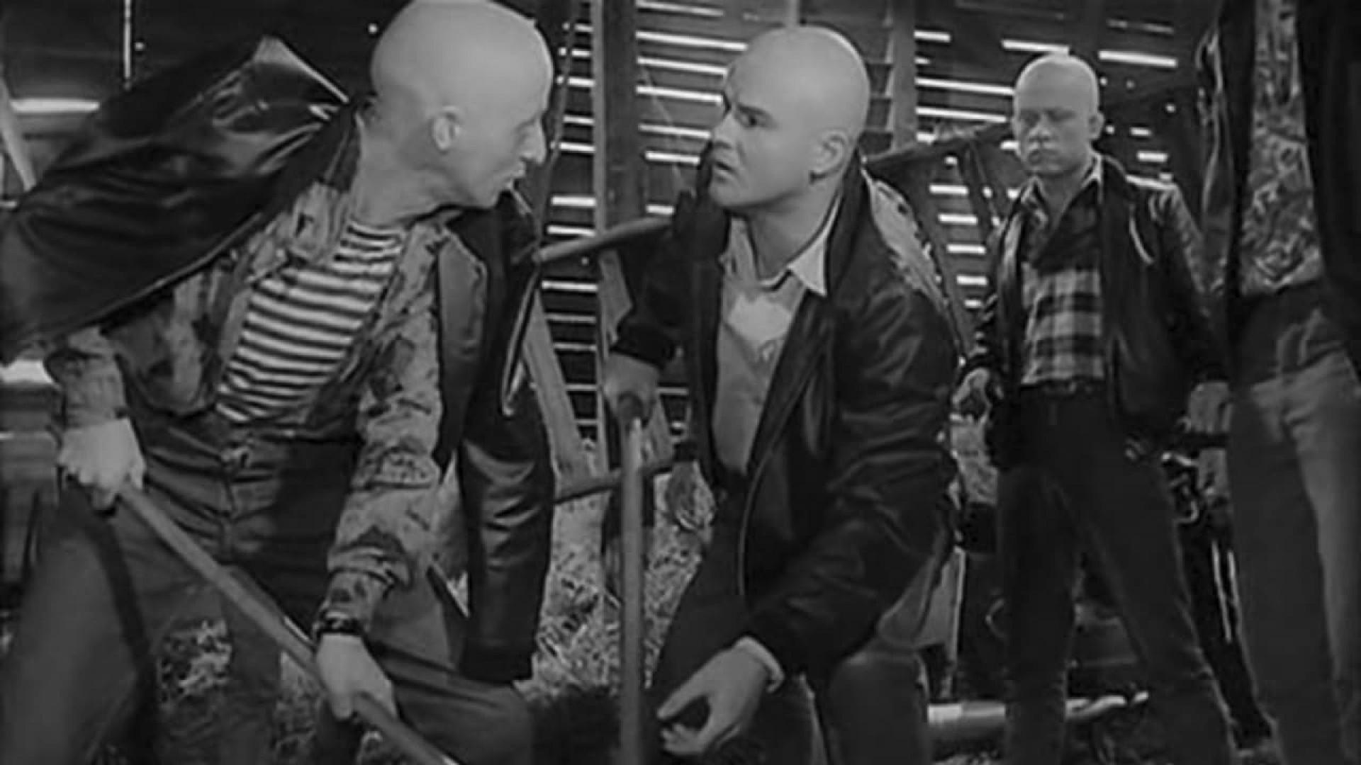 The Baldheaded Gang