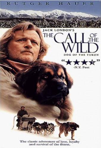 The Call of the Wild: Dog of the Yukon