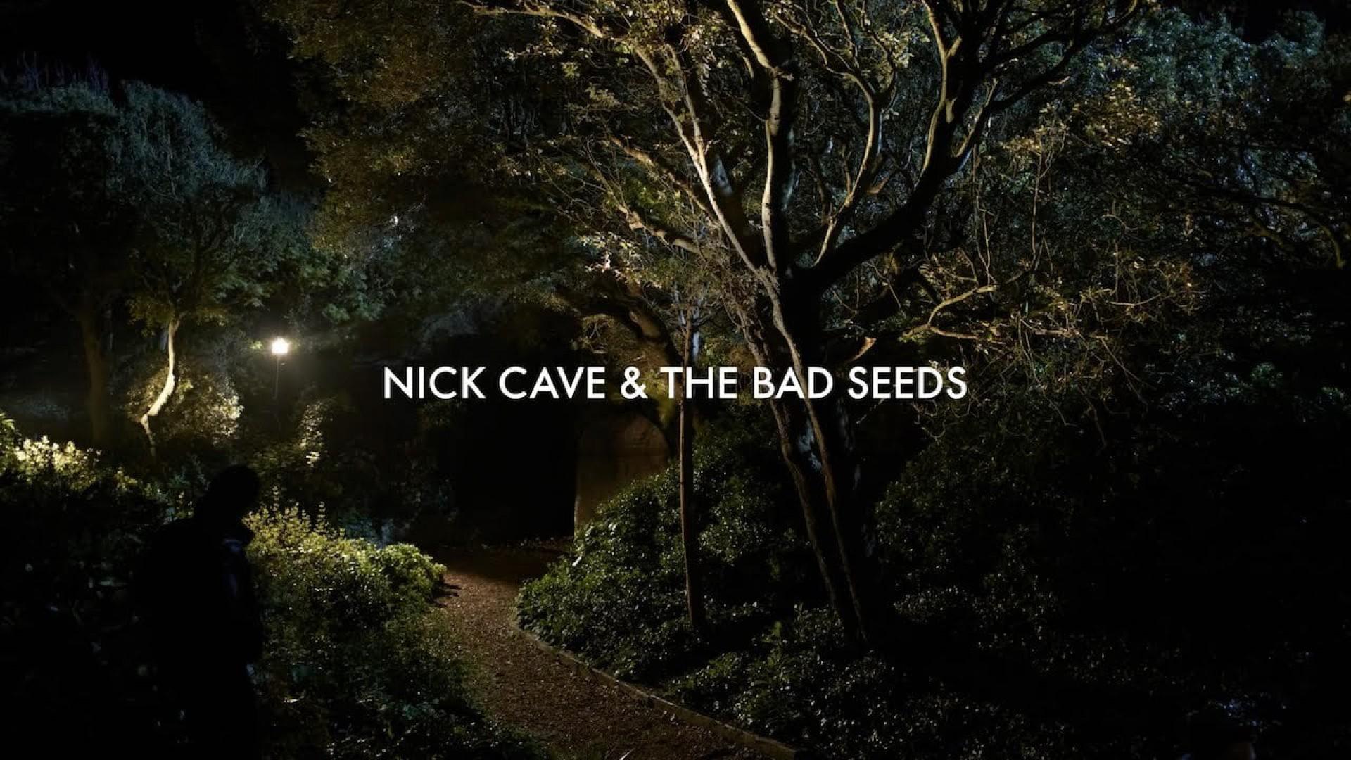 Nick Cave and The Bad Seeds: The Videos