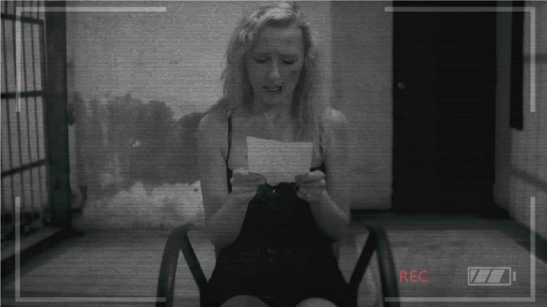 The Disappearance Of Lenka Wood