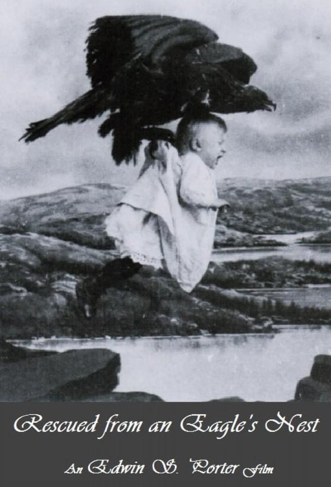 Rescued from an Eagle's Nest