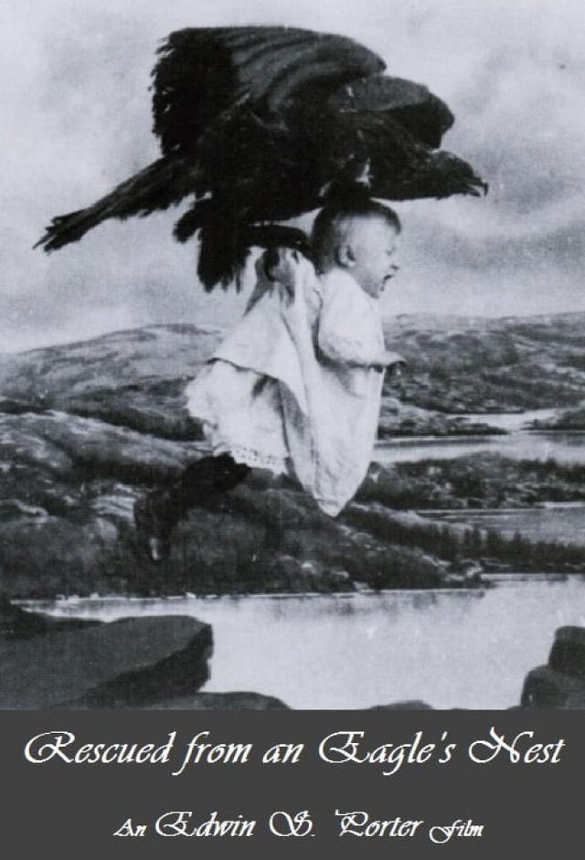 Rescued from an Eagle's Nest