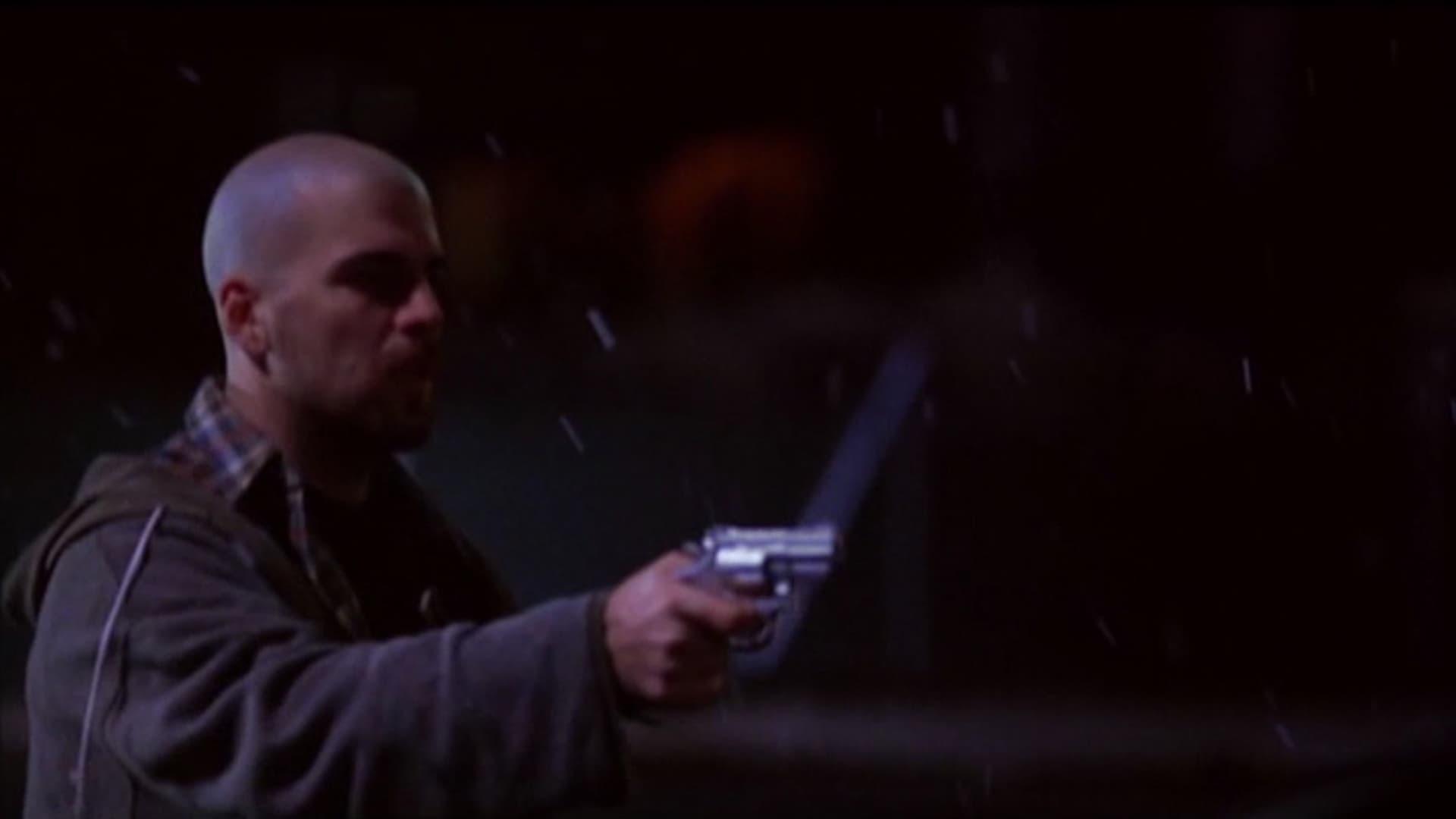American Gun