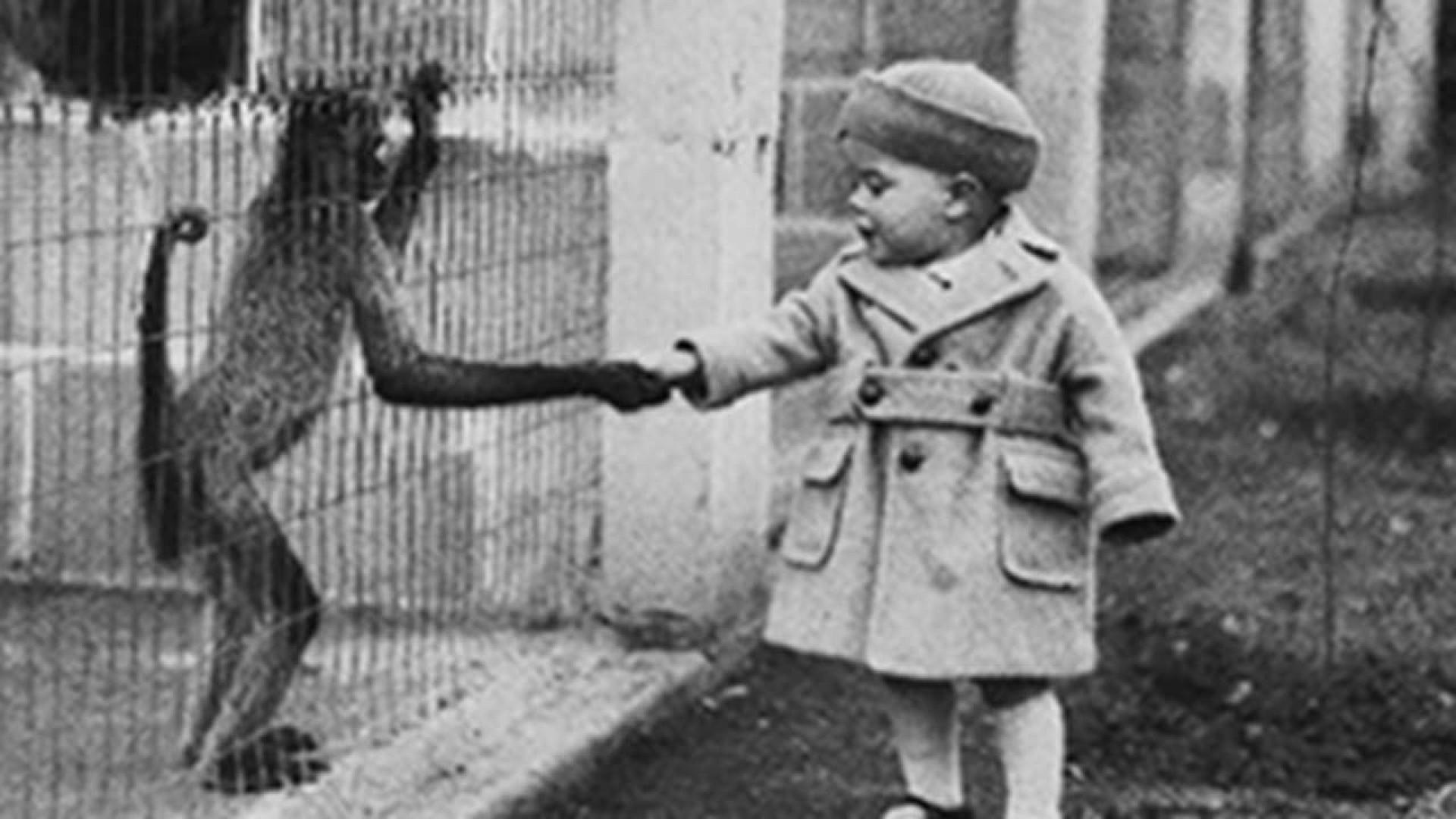 Human resources: Social engineering in the 20th century