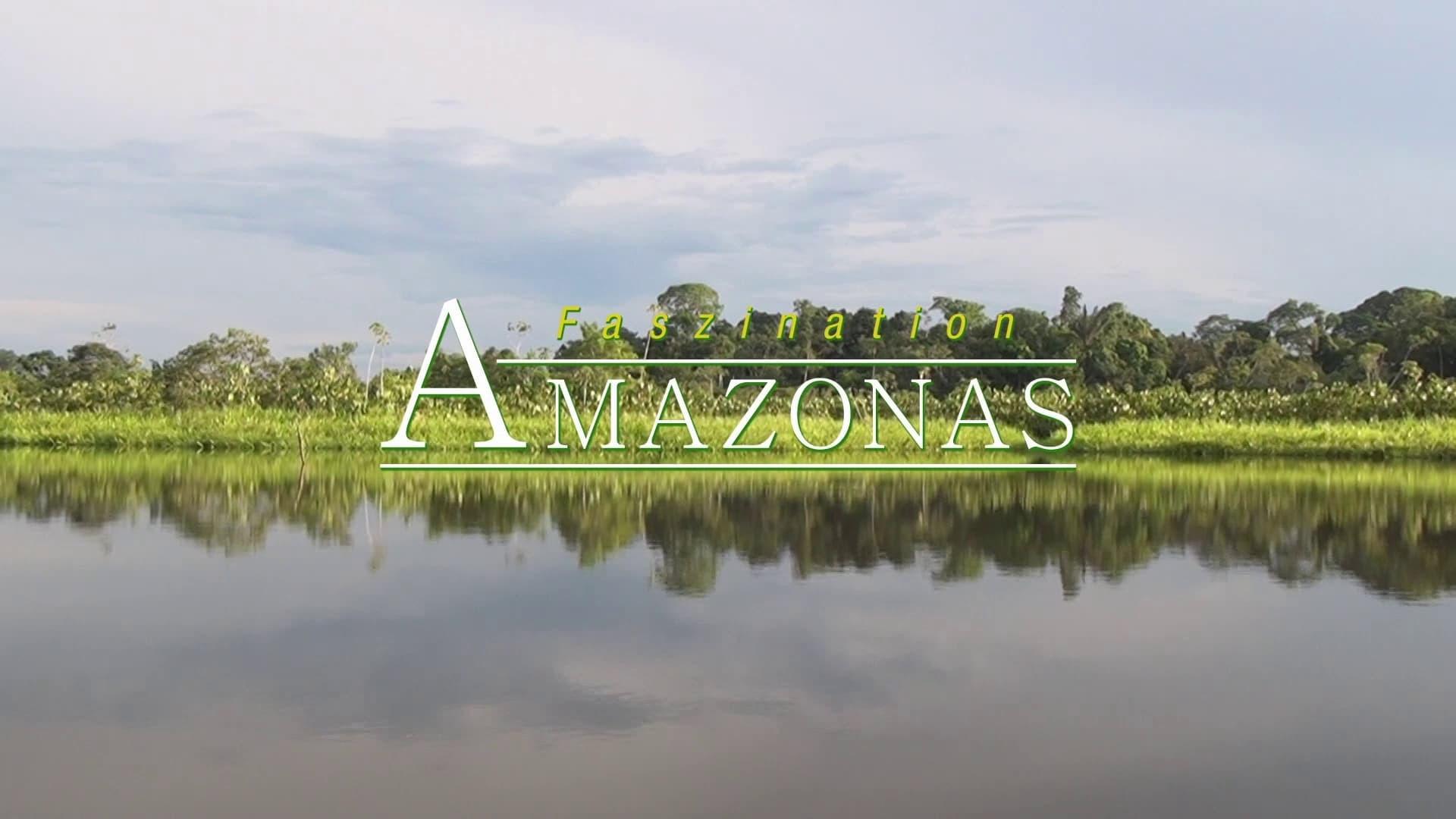 Fascination Amazon 3D