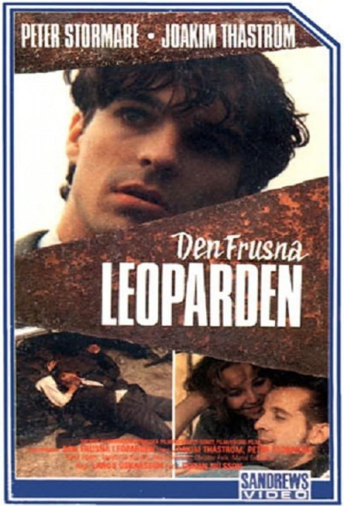Den frusna leoparden