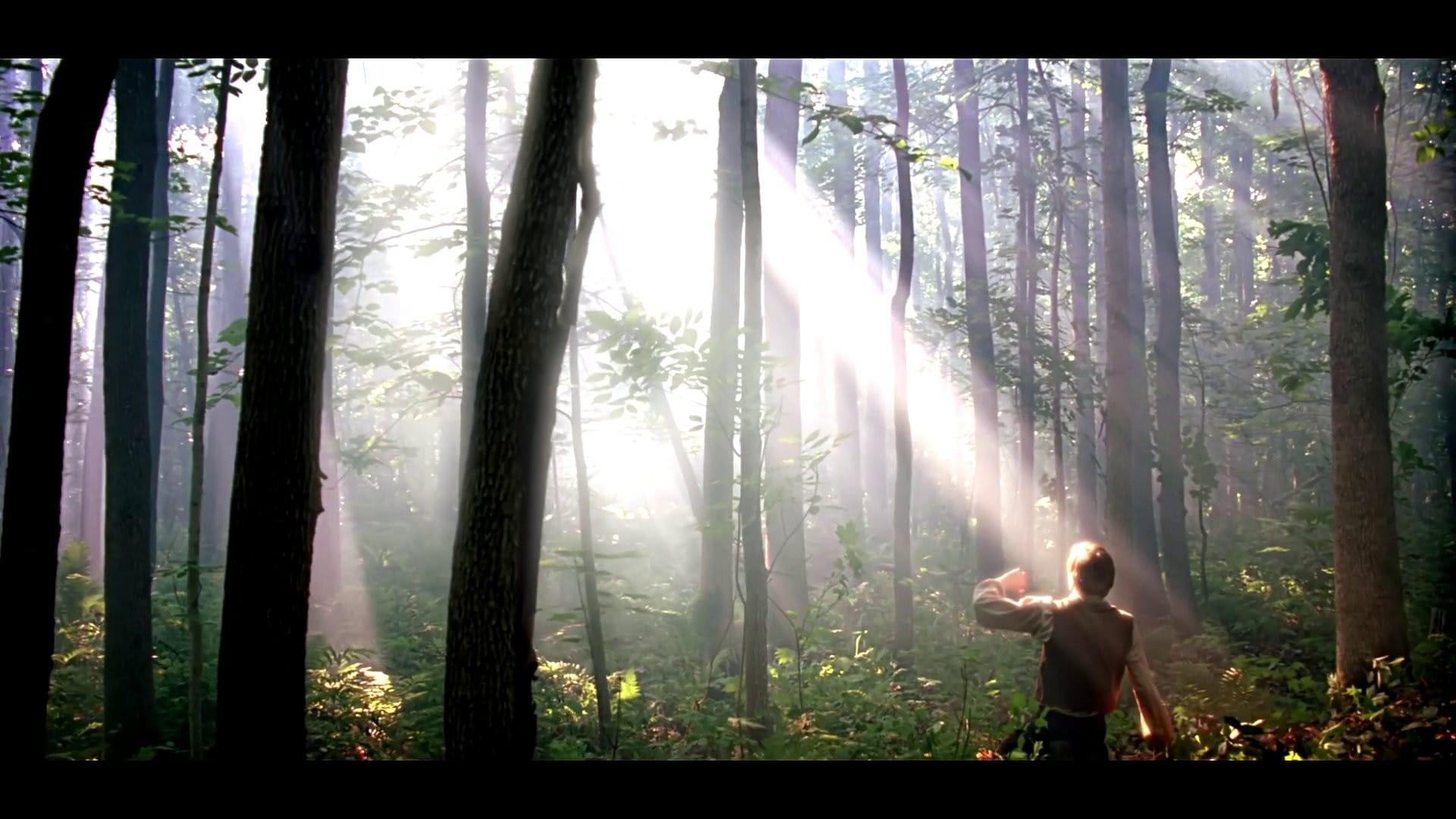Joseph Smith: The Prophet of the Restoration