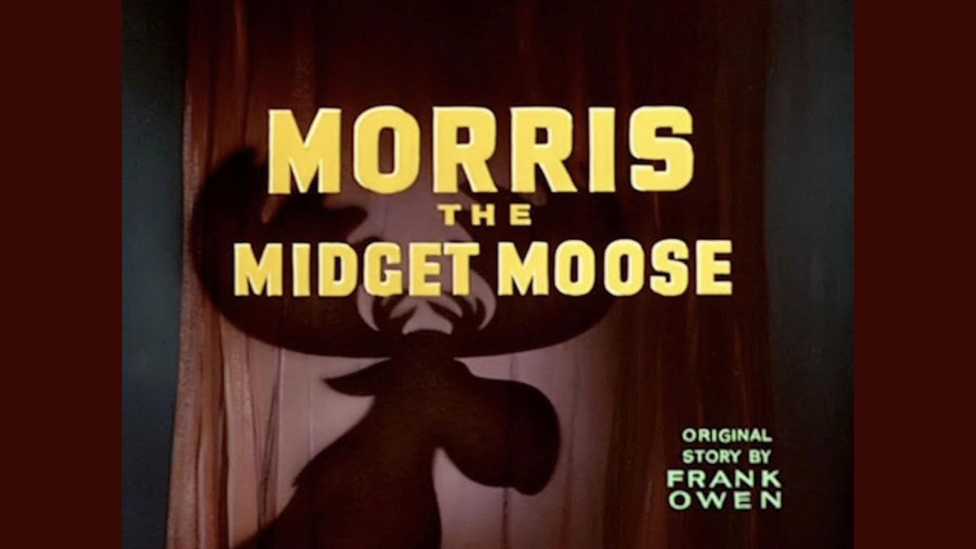Morris the Midget Moose