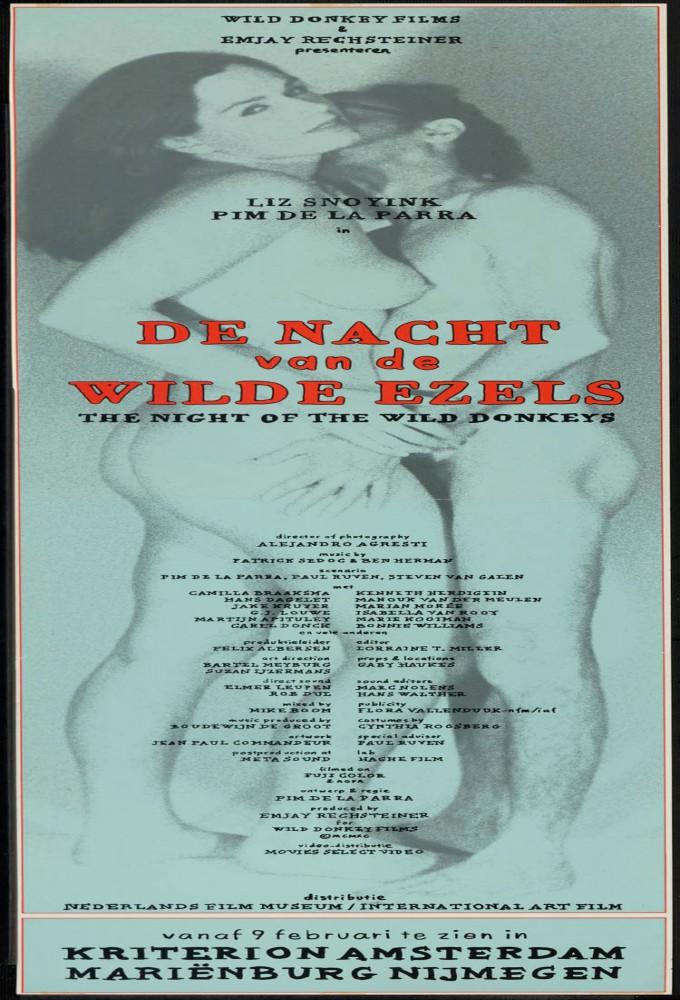 The Night of the Wild Donkeys