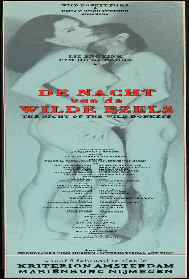 The Night of the Wild Donkeys