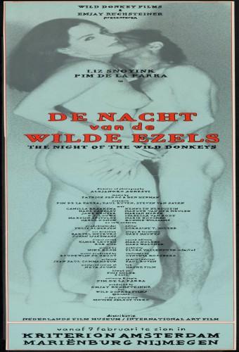 The Night of the Wild Donkeys
