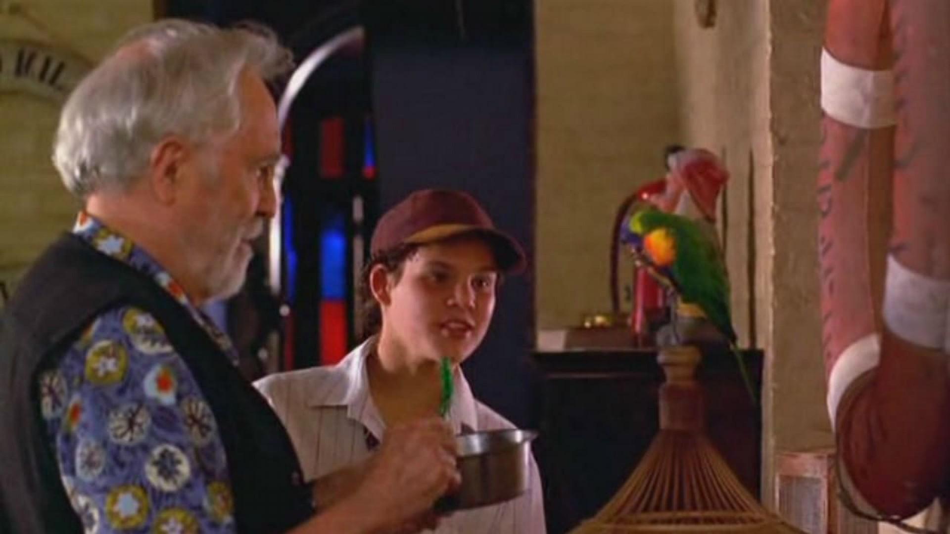 The Real Macaw