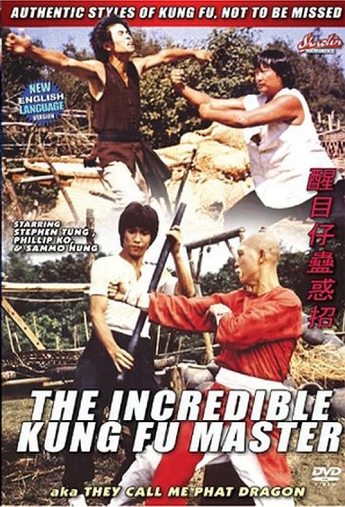 The Incredible Kung Fu Master