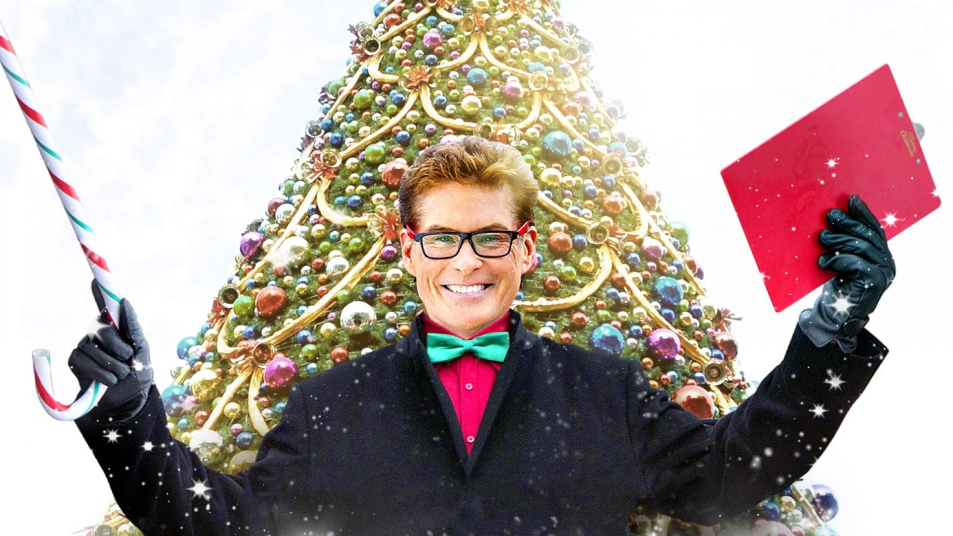 The Christmas Consultant