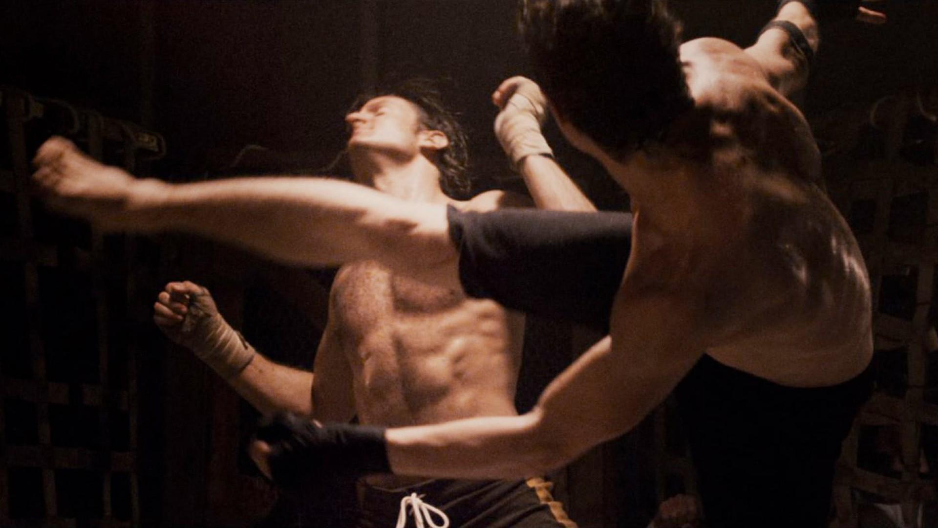 Brawler
