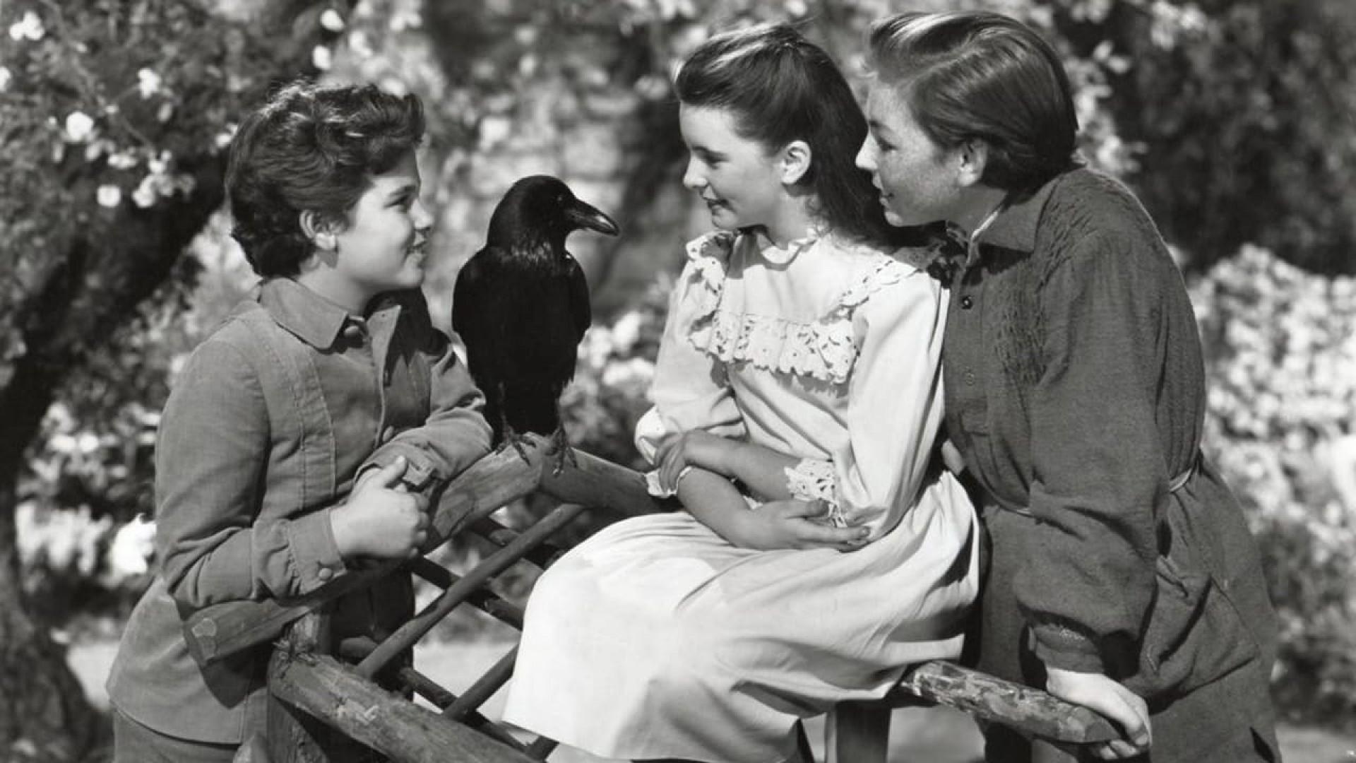 The Secret Garden